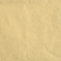 Billede: Florence Cardstock smooth 30,5x30,5cm 1 ark, 216 g/m2, Kraft Light