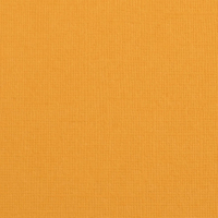 Billede: Florence Cardstock texture 30,5x30,5cm 1 ark, 216 g/m2, Apricot