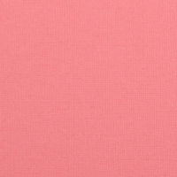 Billede: Florence Cardstock texture 30,5x30,5cm 1 ark, 216 g/m2, Magnolia