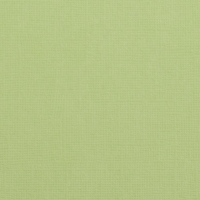 Billede: Florence Cardstock texture 30,5x30,5cm 1 ark, 216 g/m2, Anise
