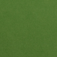 Billede: Florence Cardstock texture 30,5x30,5cm 1 ark, 216 g/m2, Grasshopper