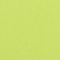 Billede: Florence Cardstock texture 30,5x30,5cm 1 ark, 216 g/m2, Pistachio