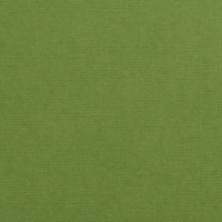 Billede: Florence Cardstock texture 30,5x30,5cm 1 ark, 216 g/m2, Olive