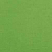 Billede: Florence Cardstock texture 30,5x30,5cm 1 ark, 216 g/m2, Frog