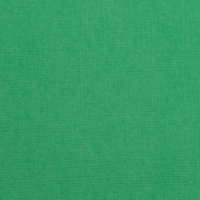 Billede: Florence Cardstock texture 30,5x30,5cm 1 ark, 216 g/m2, Holly