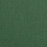 Billede: Florence Cardstock texture 30,5x30,5cm 1 ark, 216 g/m2, Pine