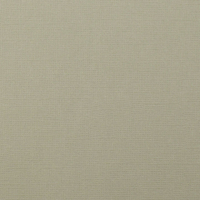 Billede: Florence Cardstock texture 30,5x30,5cm 1 ark, 216 g/m2, Mouse