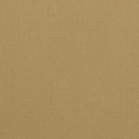 Billede: Florence Cardstock texture 30,5x30,5cm 1 ark, 216 g/m2, Peanut