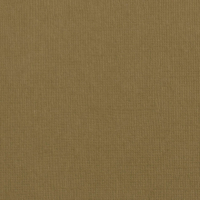 Billede: Florence Cardstock texture 30,5x30,5cm 1 ark, 216 g/m2, Lion