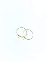 Billede: creolerring forgyldt 2,5cm 10 par