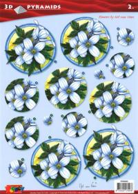 Billede: blomster, stenboden pyramide