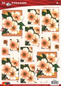 Billede: blomster, stenboden pyramide