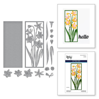 Billede: skære/prægeskabelon liljer i ramme, Daffodil Frame Etched Dies, ca. 12,5x5cm (S4-1284), Spellbinders