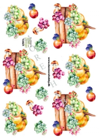 Billede: græskar i blomsterkasse, dan-design