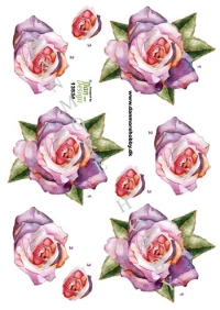 Billede: en rosafarvet rose, dan-design