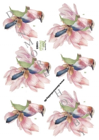 Billede: fugl i blomst, dan-design