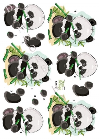 Billede: pandabjørn spiser bambus, dan-design