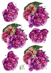 Billede: sommerfugl i blomsterplante, dan-design