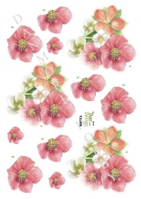 Billede: blomster, dan-design