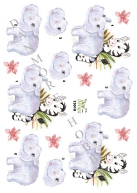 Billede: zebra og flodhest, dan-design