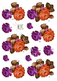 Billede: rosenhoveder i sensommerfarver, dan-design