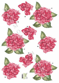 Billede: røde blomster, dan-design