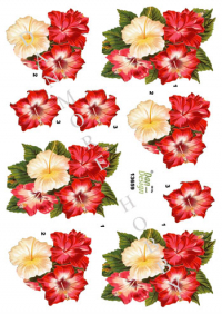 Billede: blomster, dan-design