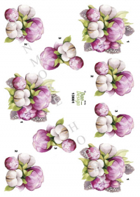 Billede: blomster i knop, dan-design