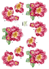 Billede: blomster, dan-design