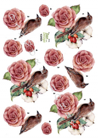 Billede: fugl på blomster, dan-design