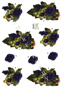 Billede: grønne druer og blomster, dan-design