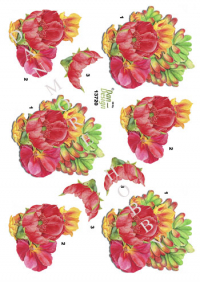 Billede: forskellige røde/orange blomster, dan-design