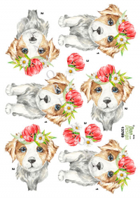 Billede: hund med blomster på hovedet, dan-design