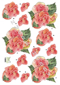 Billede: blomster, dan-design