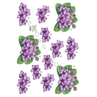 Billede: lilla blomster, dan-design