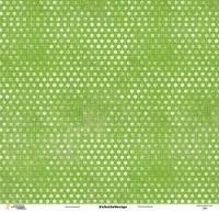 Billede: Filicita design scrapark 1 ark 12