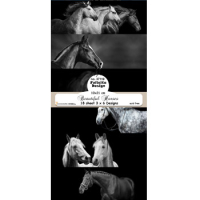 Billede: Slimcard 10x21cm, 200g, 18 ark. 3x6 designs, Beautiful Horses, FelicitaDesign