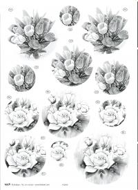 Billede: sort/hvid blomst, tbz