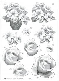 Billede: sort/hvid blomst, tbz