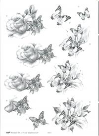 Billede: sort/hvid blomst, tbz