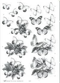 Billede: sort/hvid blomst, tbz