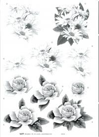 Billede: sort/hvid blomst, tbz