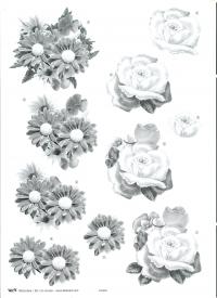 Billede: sort/hvid blomst, tbz