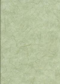 Billede: rivepapir duch grøn, 1 ark