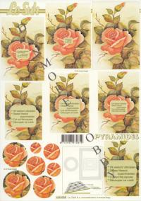 Billede: rose, le suh pyramide