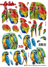 Billede: farvestrålende papegøjer, udstanset le suh