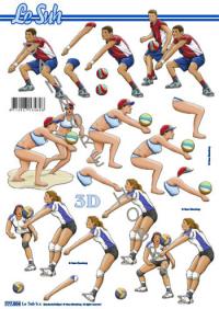 Billede: volleyball, le suh