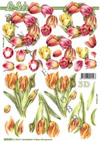 Billede: tulipaner, nouvelle