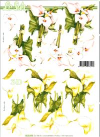 Billede: kalaer, nouvelle