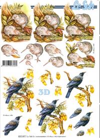 Billede: fugle, nouvelle